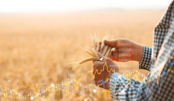 agricultural commodity forecast