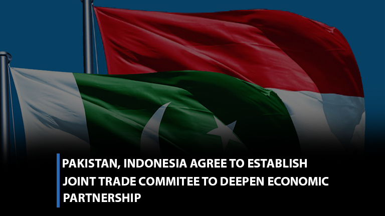 Pakistan, Indonesia agree to establish joint trade committee to deepen economic partnership