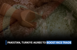 Pakistan, Turkiye agree to boost rice trade