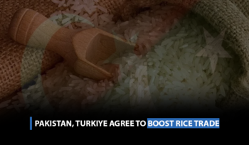 Pakistan, Turkiye agree to boost rice trade