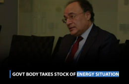 Govt body takes stock of energy situation