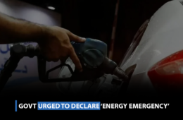 Govt urged to declare ‘energy emergency’