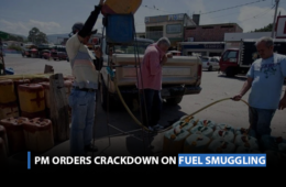 PM orders crackdown on fuel smuggling