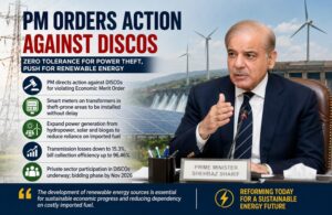 PM Orders Action Over Power Sector Violations
