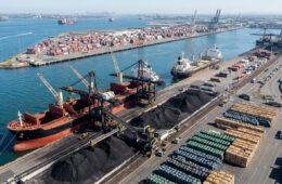 Coal, soybean seeds drive import surge