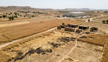 Pakistan Faces $2 Billion in Annual Post-Harvest Losses: ADB