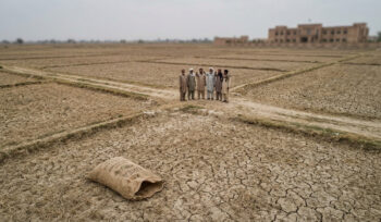 Urea Sale Restrictions in KP Draw Criticism in National Assembly