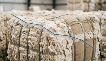 Cotton spot rate falls Rs200 to Rs18,200 per maund